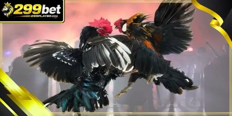 A golden trophy representing the prestige of high-tier championships